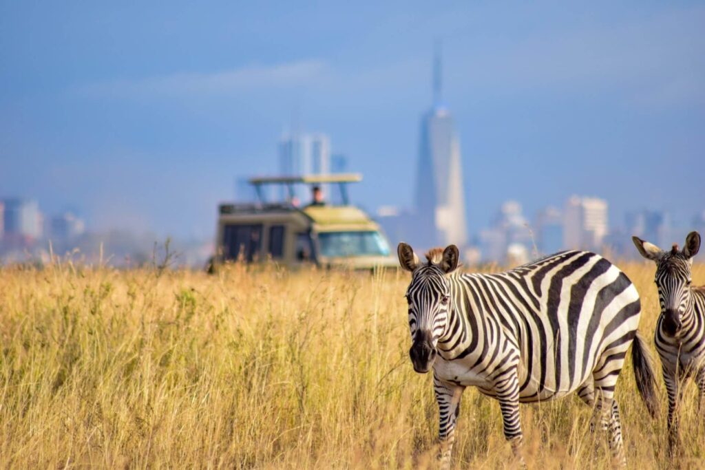Best Safari Parks and Game Reserves Near Nairobi
