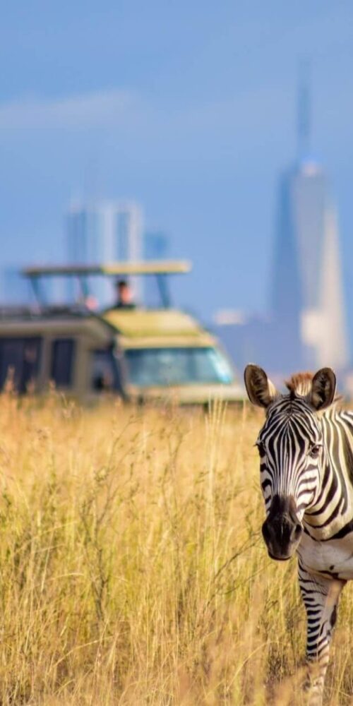 Best Safari Parks and Game Reserves Near Nairobi