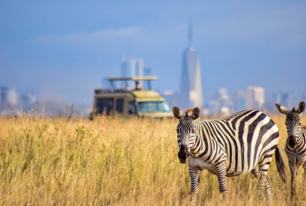 Best Safari Parks and Game Reserves Near Nairobi
