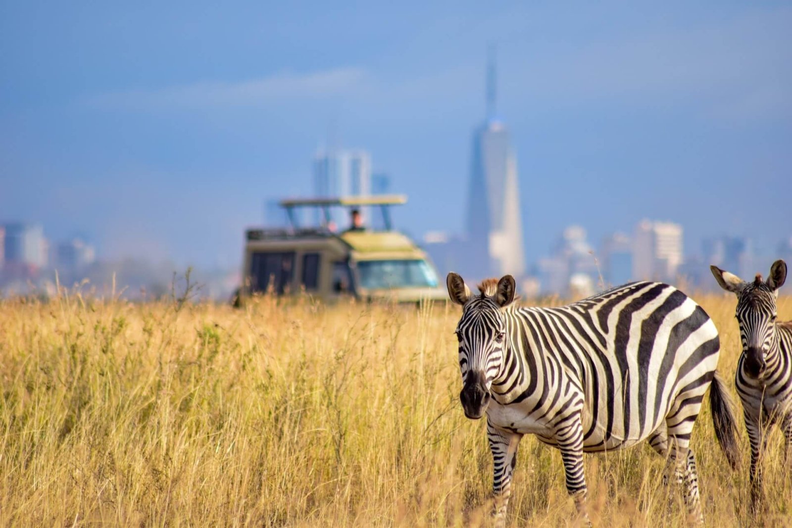 Best Safari Parks and Game Reserves Near Nairobi