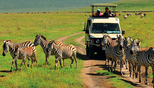 Best Southern Circuit Safaris in Tanzania