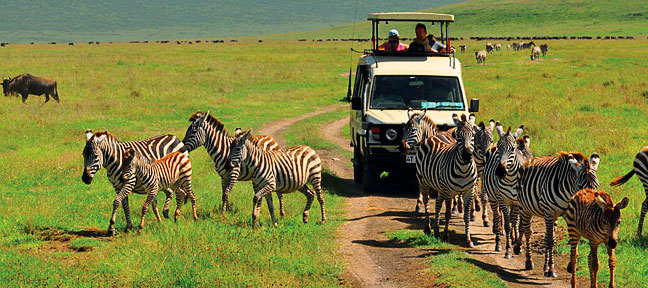 Best Southern Circuit Safaris in Tanzania