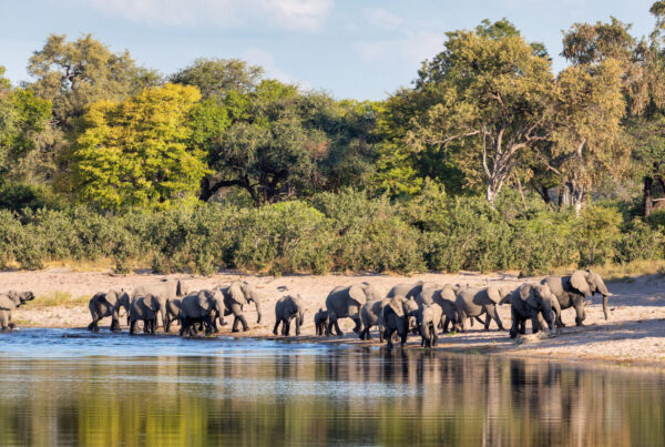 Bwabwata National Park