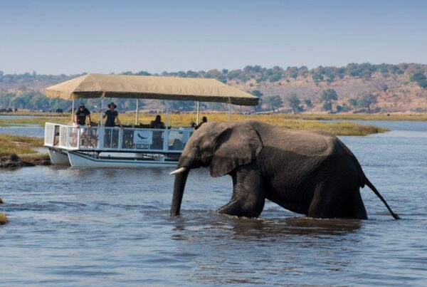 Chobe National Park