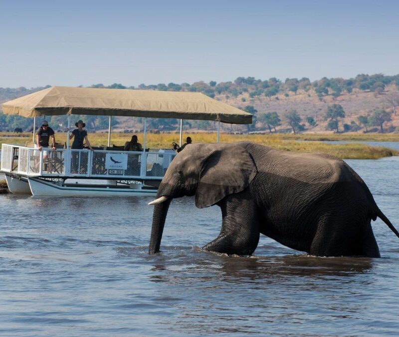 Chobe National Park