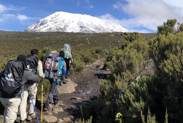 Climb Mount Kilimanjaro