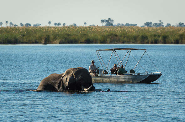 Linyanti Wildlife Reserve