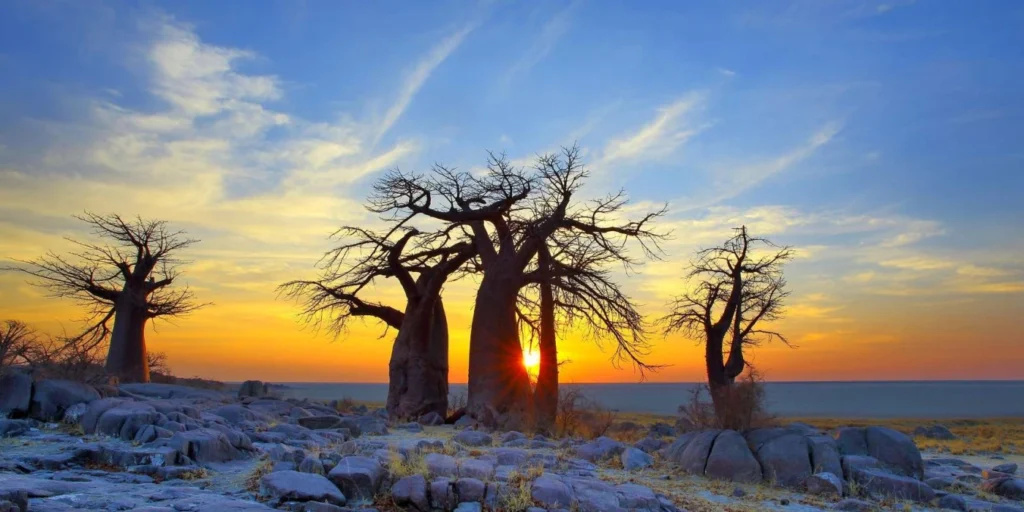 Makgadikgadi Pans National Park