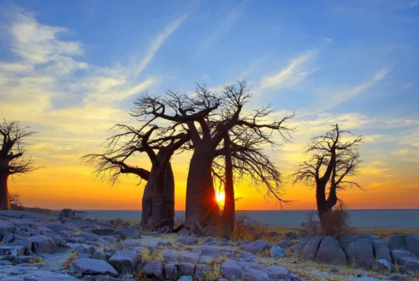 Makgadikgadi Pans National Park