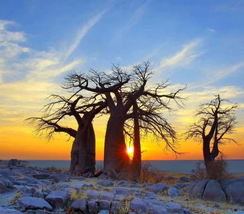 Makgadikgadi Pans National Park