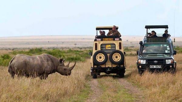 Masai Mara Safaris