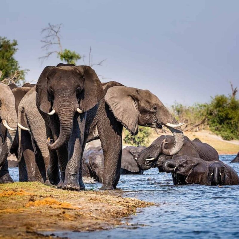 Mudumu National Park