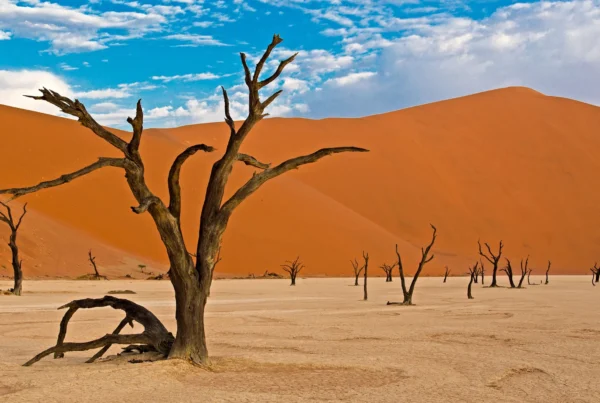 Namib-Naukluft National Park