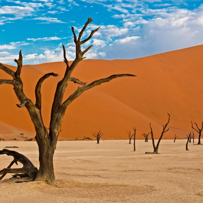 Namib-Naukluft National Park