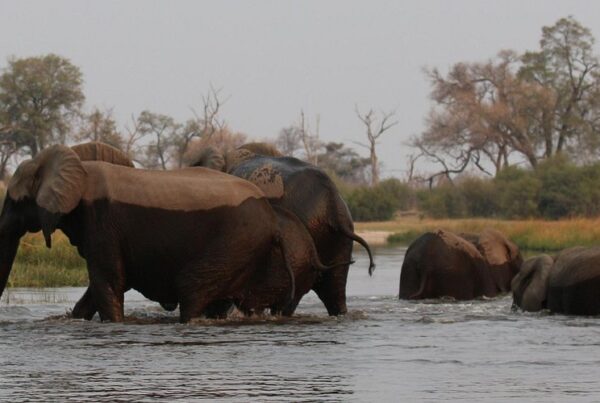 Nkasa Rupara National Park