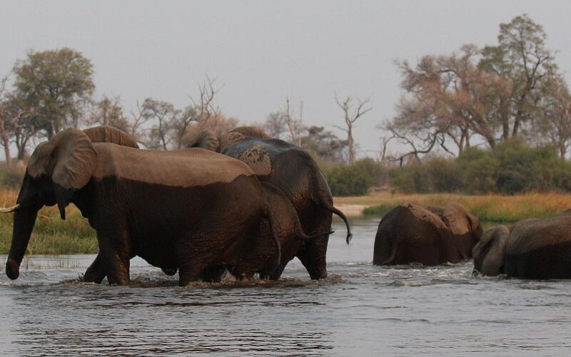 Nkasa Rupara National Park