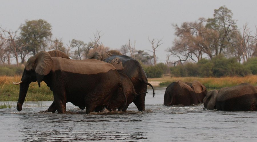 Nkasa Rupara National Park