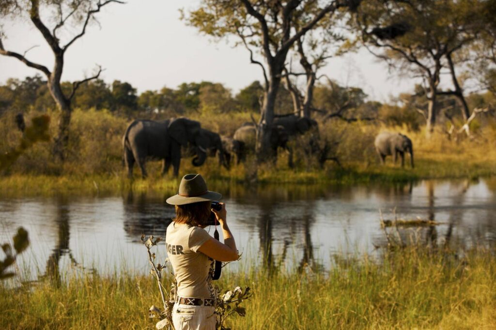 Selinda Reserve