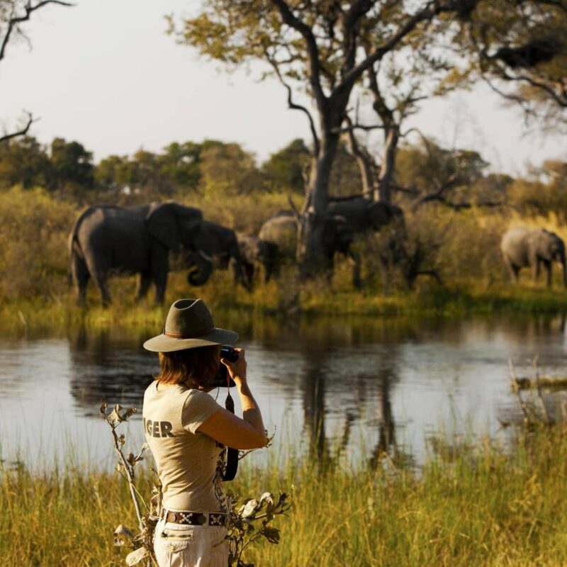 Selinda Reserve