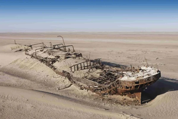 Skeleton Coast National Park
