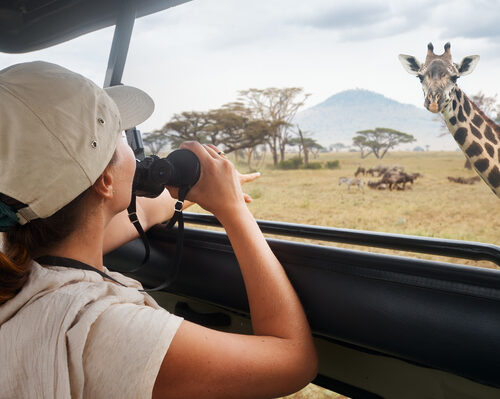 Top 10 Activities While on Safari