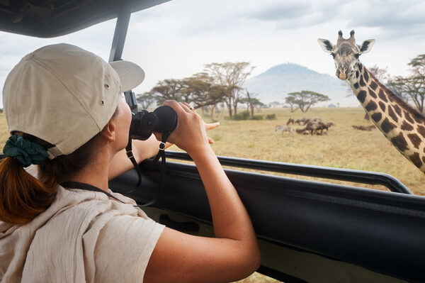 Top 10 Activities While on Safari