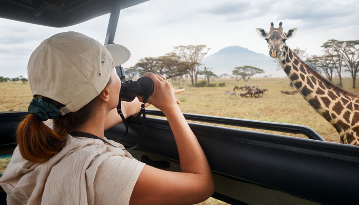 Top 10 Activities While on Safari