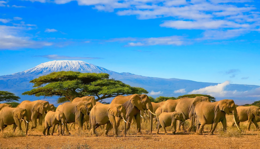 Top 10 Best Tourist Attractions in Tanzania