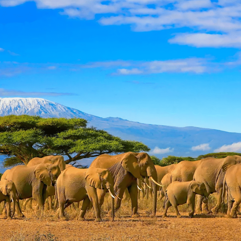 Top 10 Best Tourist Attractions in Tanzania