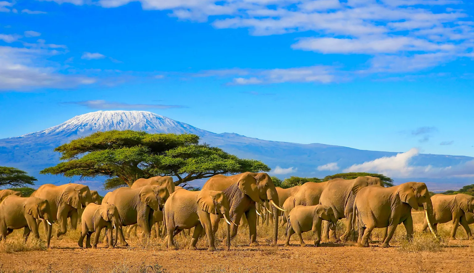 Top 10 Best Tourist Attractions in Tanzania