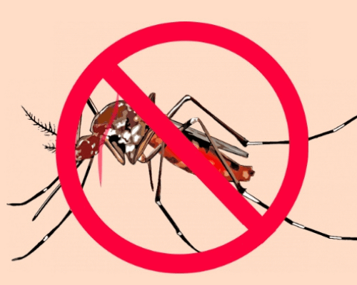 Top 8 Best Malaria-free Game Reserves in South Africa