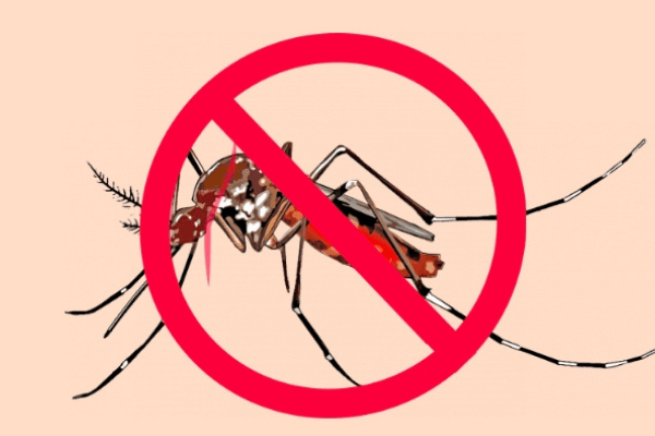 Top 8 Best Malaria-free Game Reserves in South Africa