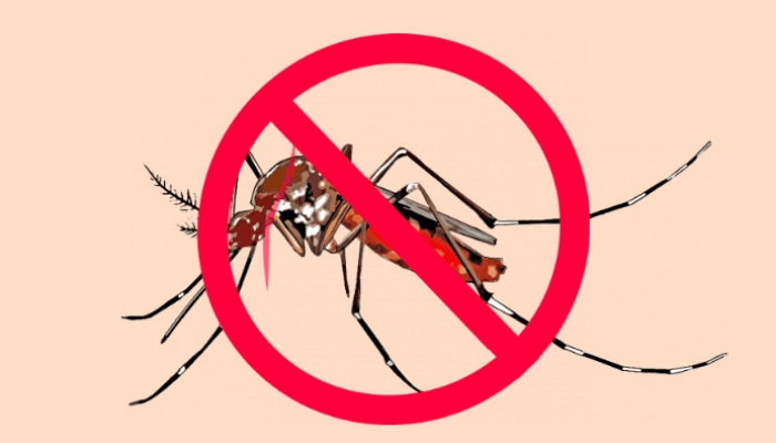 Top 8 Best Malaria-free Game Reserves in South Africa