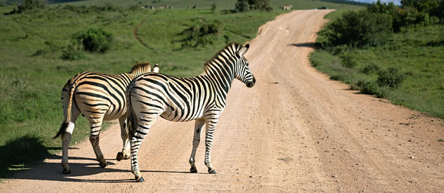 Tutume Game Reserve