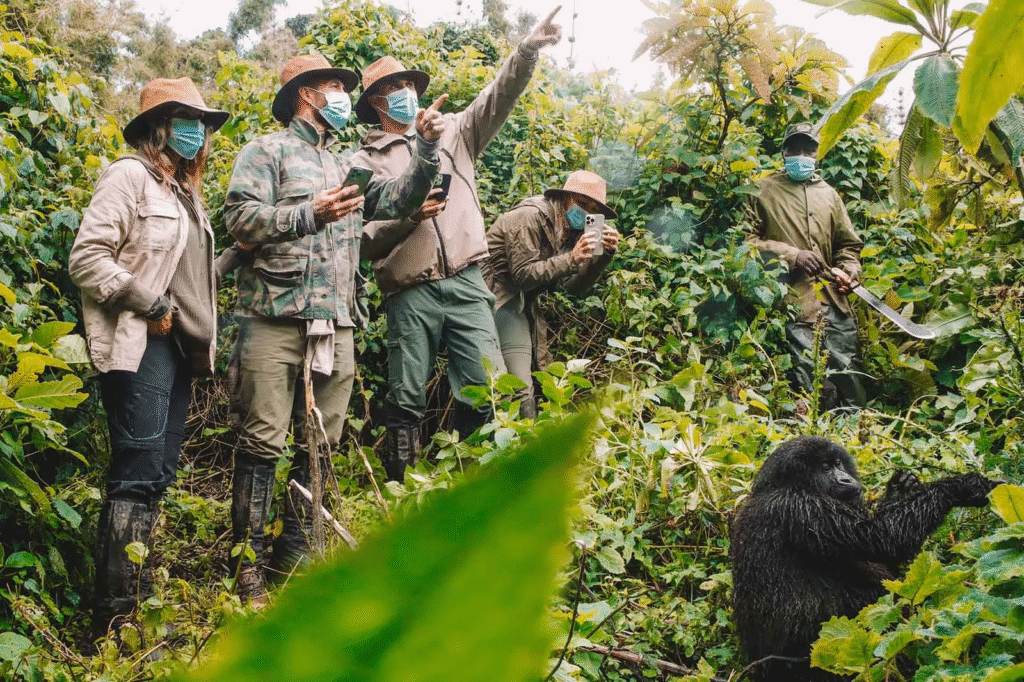 Uganda Travel Guides