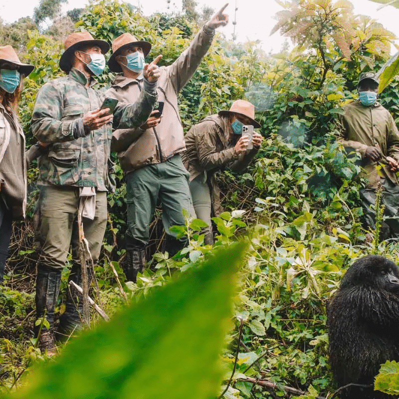 Uganda Travel Guides