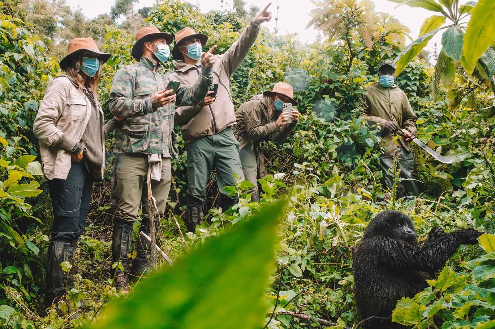Uganda Travel Guides