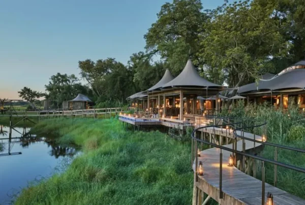 10 Best Luxury Okavango Delta Safari Lodges & Camps
