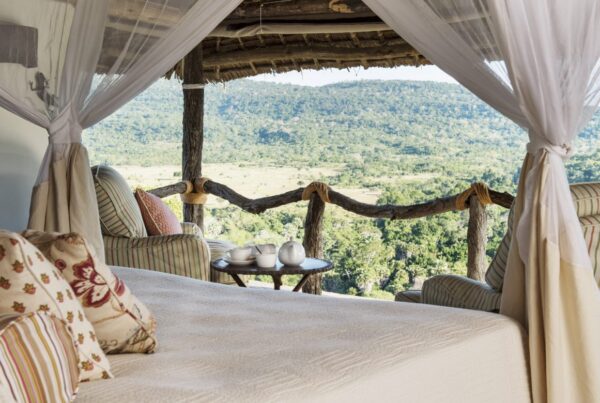 10 Best Nyerere (Selous) Luxury Safari Lodges & Camps
