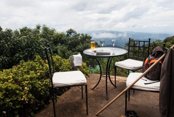 10 Best-value Luxury Bwindi Safari Lodges & Camps