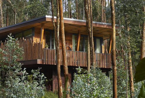 10 Best-value Luxury Rwanda Safari Lodges & Camps