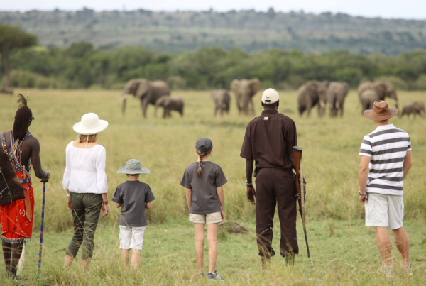 10 Considerations for Families Going on Safari