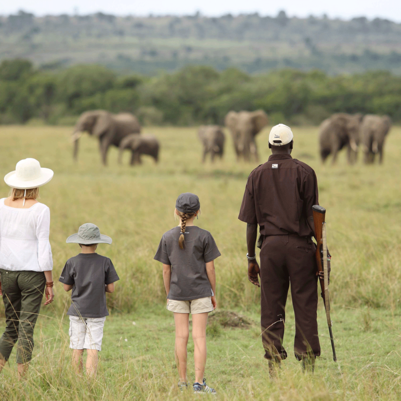 10 Considerations for Families Going on Safari