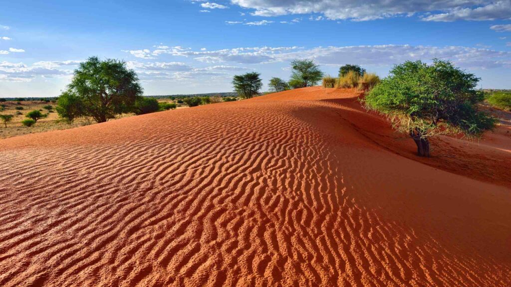 10 Interesting Kalahari Desert Facts