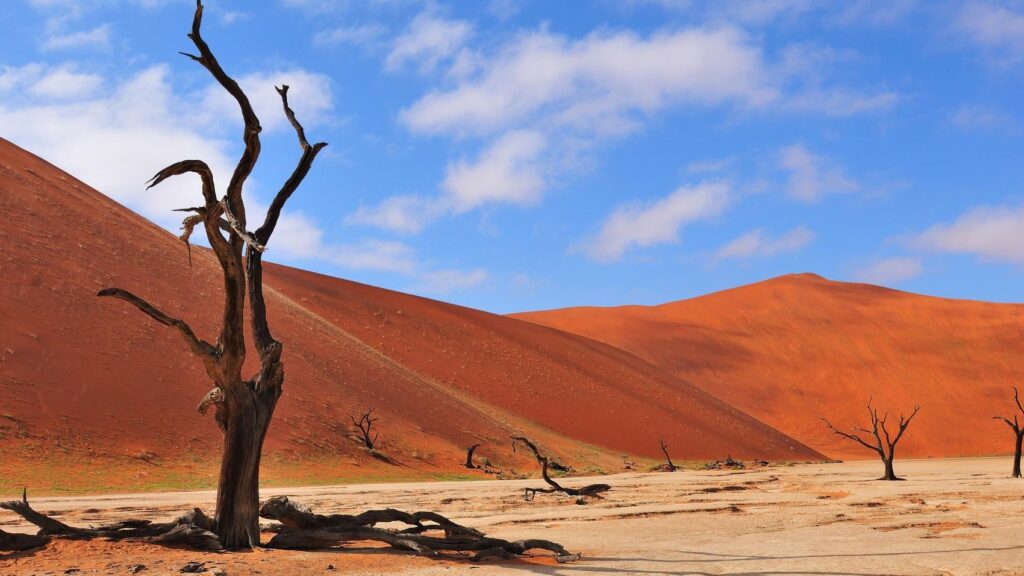 10 Interesting Namib Desert Facts