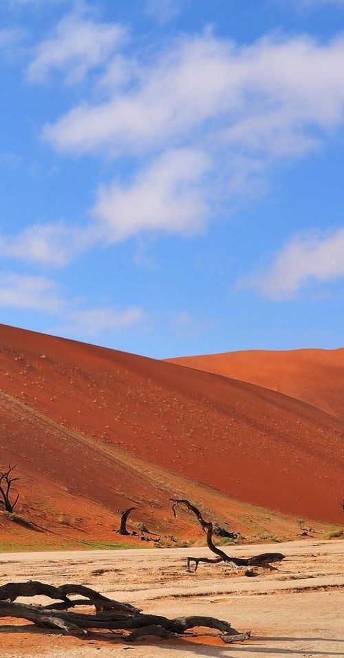 10 Interesting Namib Desert Facts