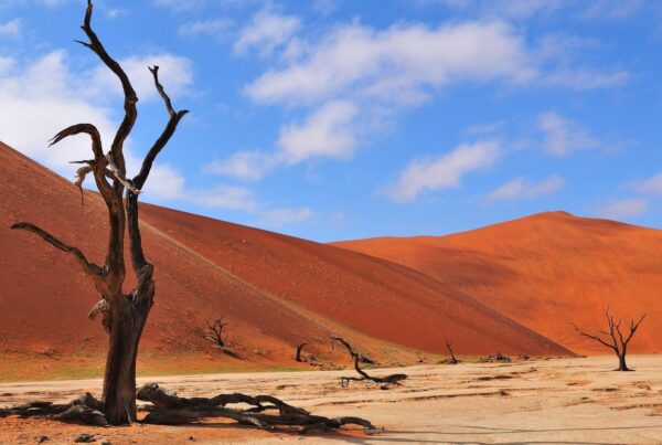 10 Interesting Namib Desert Facts