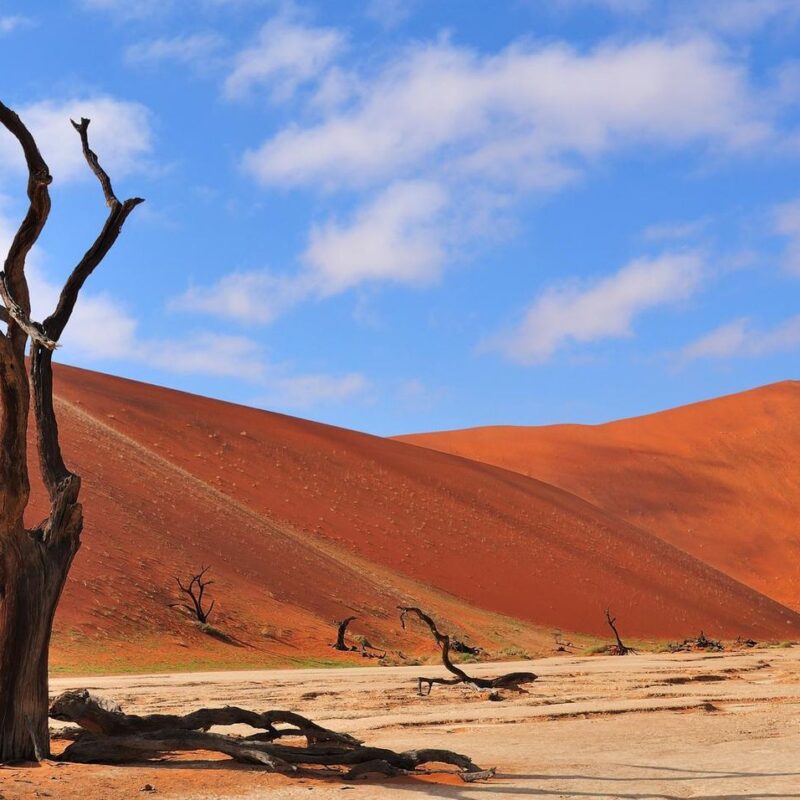 10 Interesting Namib Desert Facts