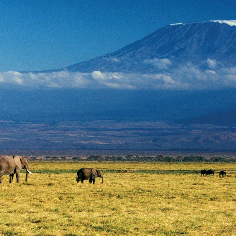 10 Most Beautiful & Interesting Places To Visit in Tanzania