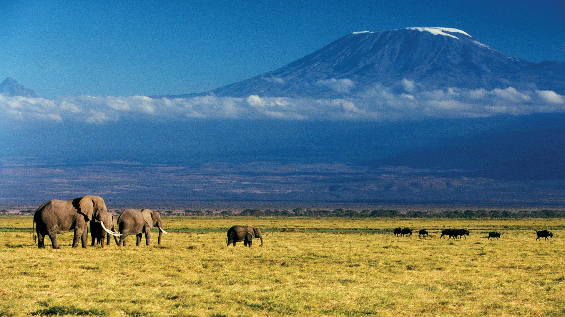 10 Most Beautiful & Interesting Places To Visit in Tanzania